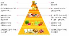 儿童综合素质测试仪品牌厂家讲述营养在人的一生中起着至关重要的作用